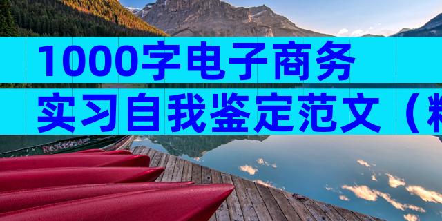 1000字电子商务实习自我鉴定范文（精选22篇）