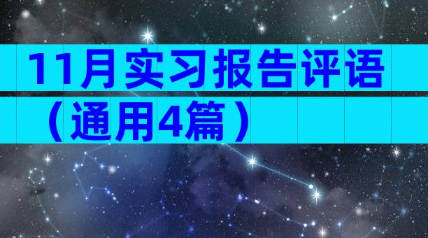 11月实习报告评语（通用4篇）