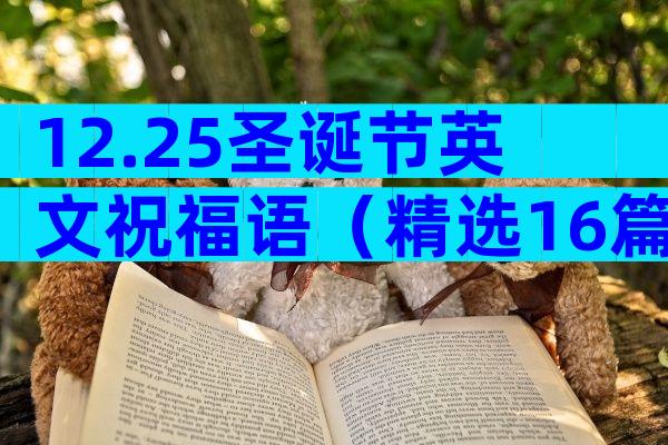 12.25圣诞节英文祝福语（精选16篇）