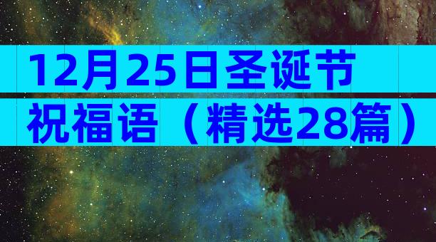12月25日圣诞节祝福语（精选28篇）