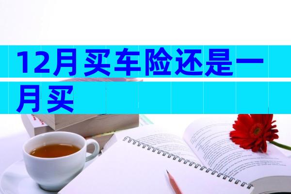 12月买车险还是一月买