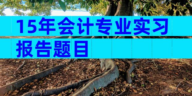15年会计专业实习报告题目
