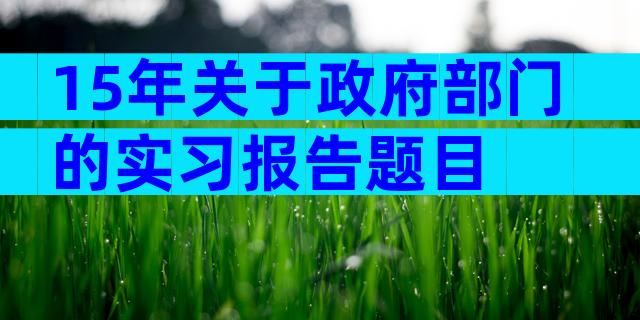 15年关于政府部门的实习报告题目