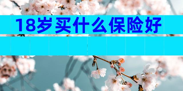 18岁买什么保险好