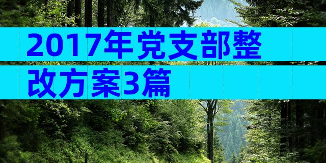 2017年党支部整改方案3篇