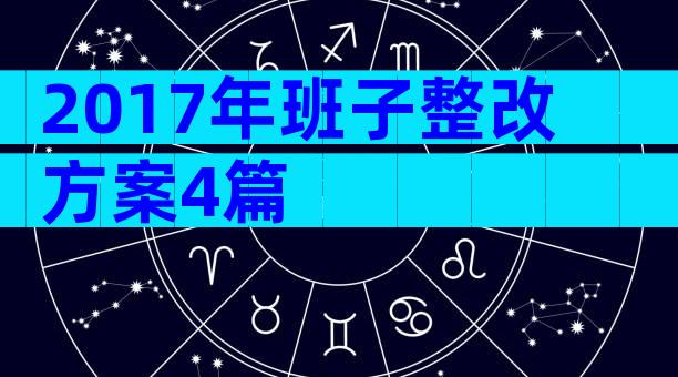 2017年班子整改方案4篇