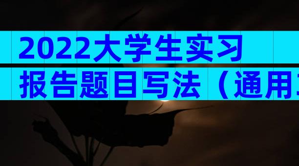2022大学生实习报告题目写法（通用3篇）