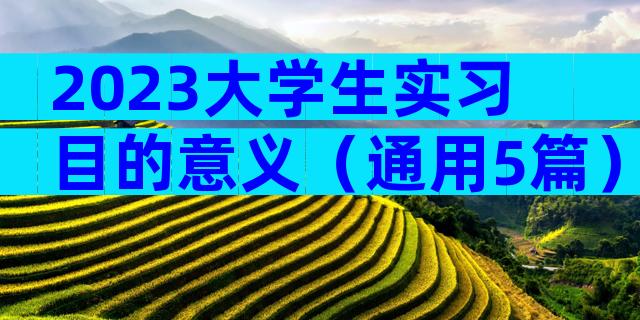 2023大学生实习目的意义（通用5篇）
