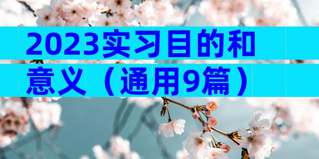 2023实习目的和意义（通用9篇）