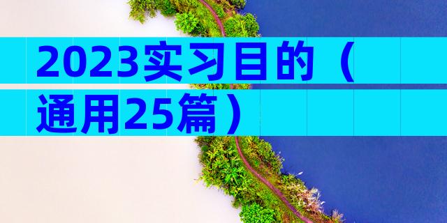 2023实习目的（通用25篇）