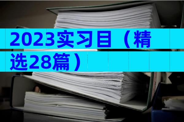 2023实习目（精选28篇）