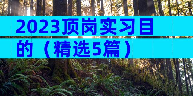 2023顶岗实习目的（精选5篇）