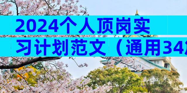 2024个人顶岗实习计划范文（通用34篇）