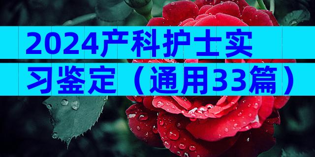 2024产科护士实习鉴定（通用33篇）
