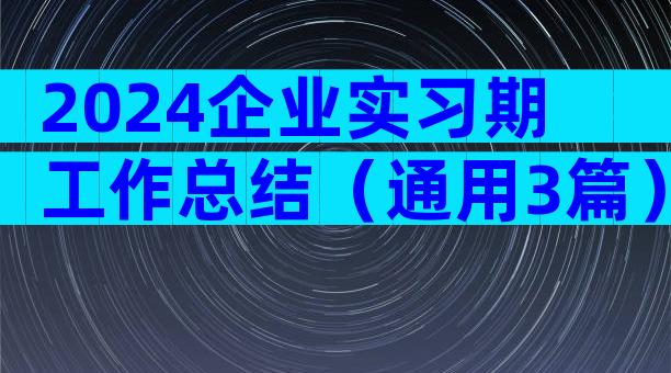 2024企业实习期工作总结（通用3篇）