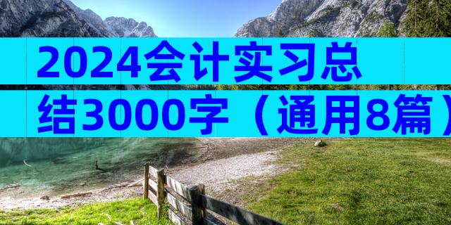 2024会计实习总结3000字（通用8篇）
