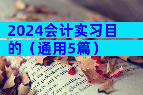 2024会计实习目的（通用5篇）