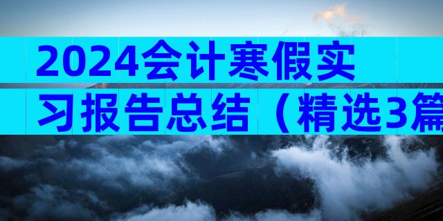 2024会计寒假实习报告总结（精选3篇）