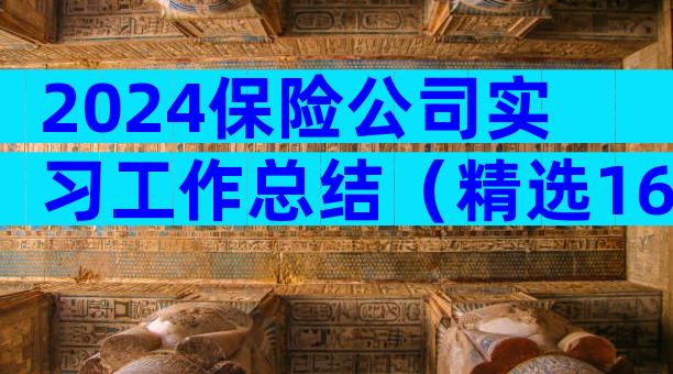 2024保险公司实习工作总结（精选16篇）