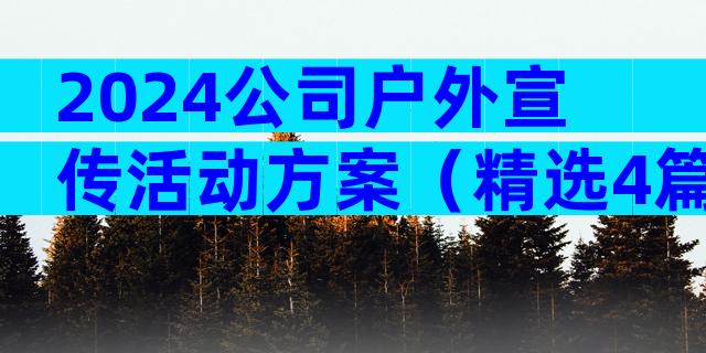 2024公司户外宣传活动方案（精选4篇）