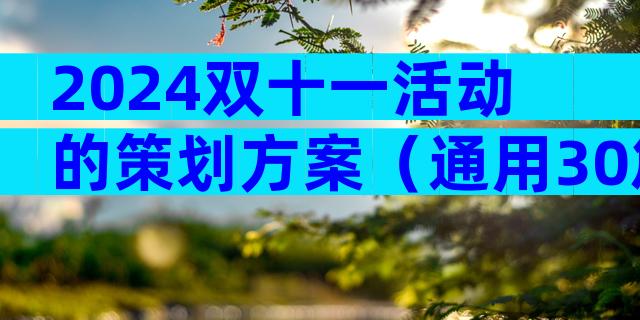 2024双十一活动的策划方案（通用30篇）