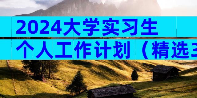 2024大学实习生个人工作计划（精选3篇）
