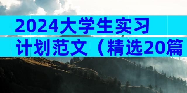 2024大学生实习计划范文（精选20篇）