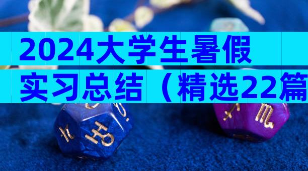2024大学生暑假实习总结（精选22篇）