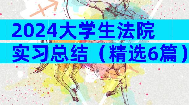 2024大学生法院实习总结（精选6篇）