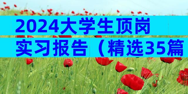 2024大学生顶岗实习报告（精选35篇）