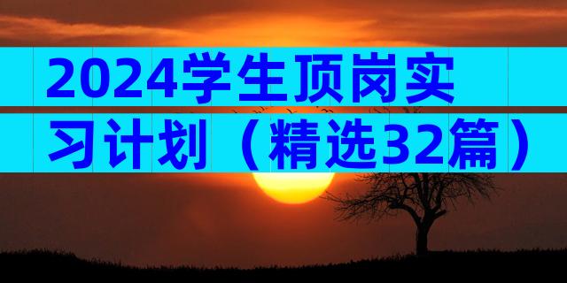 2024学生顶岗实习计划（精选32篇）