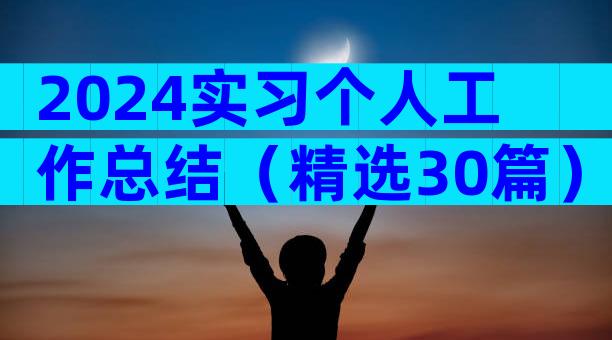 2024实习个人工作总结（精选30篇）