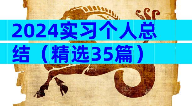 2024实习个人总结（精选35篇）