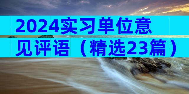 2024实习单位意见评语（精选23篇）
