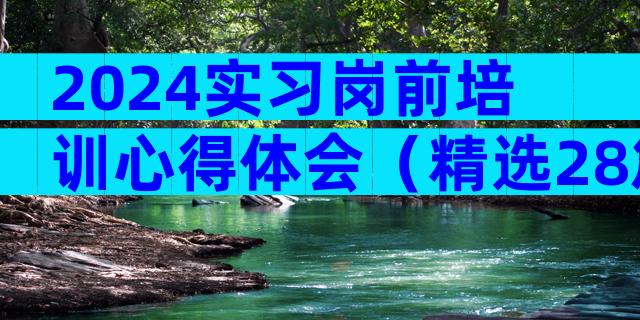 2024实习岗前培训心得体会（精选28篇）