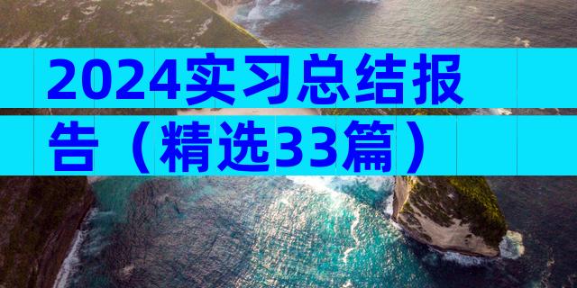 2024实习总结报告（精选33篇）