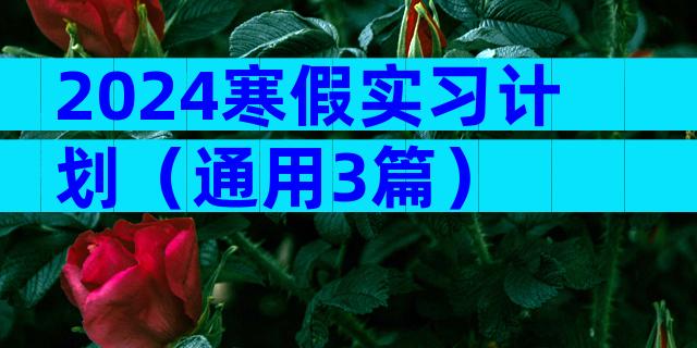 2024寒假实习计划（通用3篇）