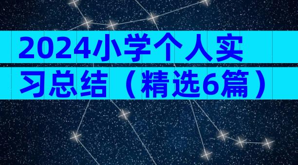 2024小学个人实习总结（精选6篇）