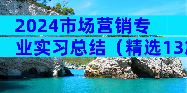 2024市场营销专业实习总结（精选13篇）