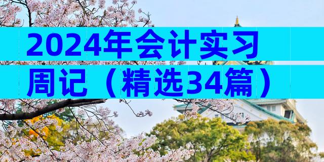 2024年会计实习周记（精选34篇）