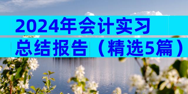 2024年会计实习总结报告（精选5篇）