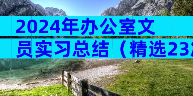 2024年办公室文员实习总结（精选23篇）