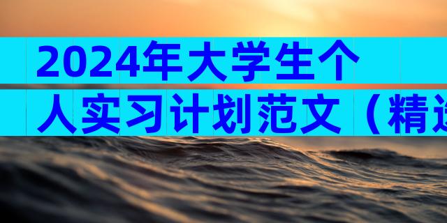 2024年大学生个人实习计划范文（精选4篇）