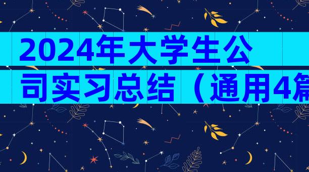 2024年大学生公司实习总结（通用4篇）