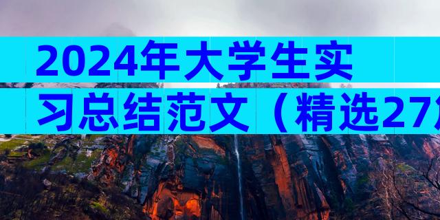 2024年大学生实习总结范文（精选27篇）