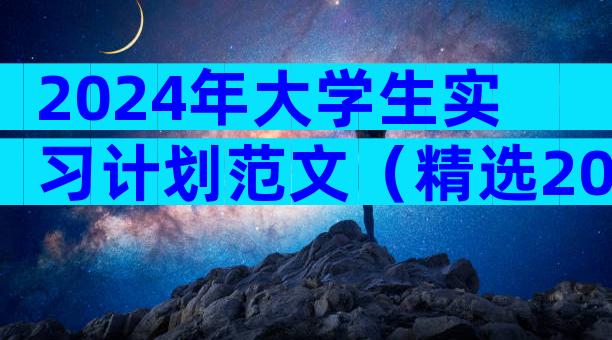 2024年大学生实习计划范文（精选20篇）
