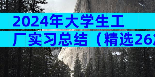 2024年大学生工厂实习总结（精选26篇）