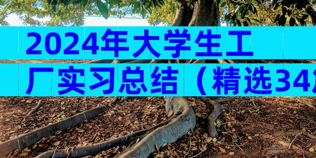 2024年大学生工厂实习总结（精选34篇）