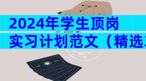 2024年学生顶岗实习计划范文（精选33篇）