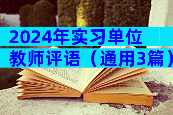 2024年实习单位教师评语（通用3篇）